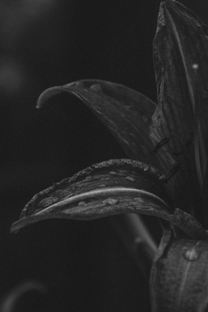 Photograph by Оксана Михайлова