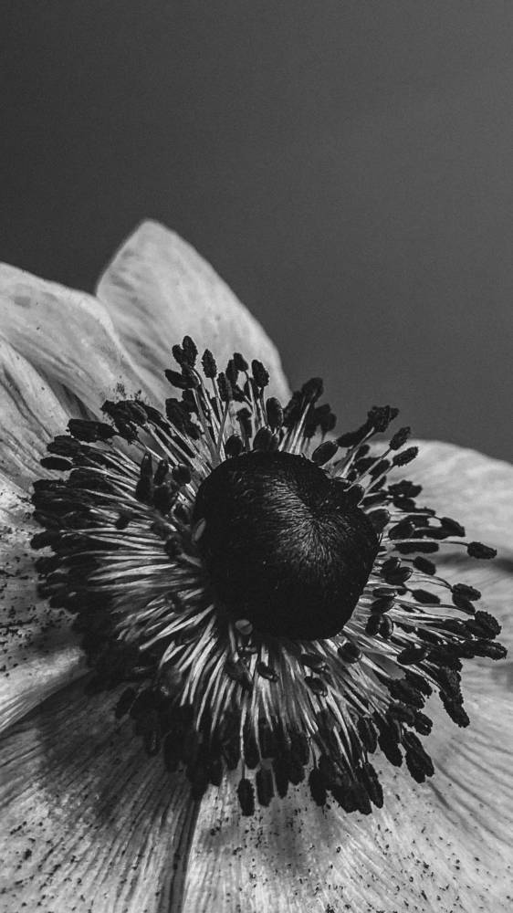 Photograph by Оксана Михайлова