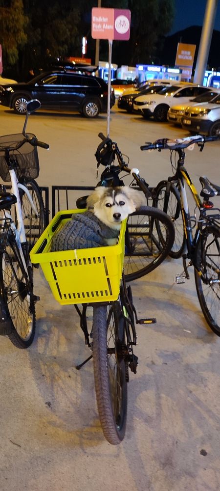 Photograph by Евгений Захаров