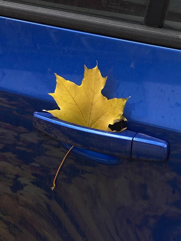 Photograph by Оксана Михайлова