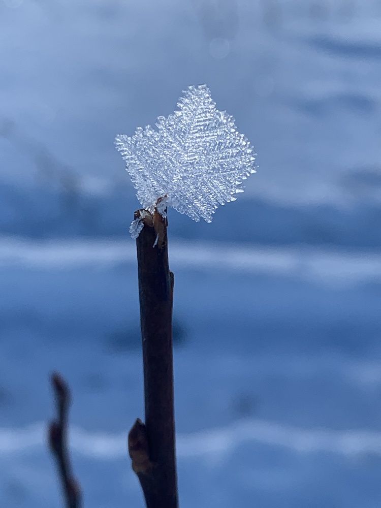 Кристалл льда