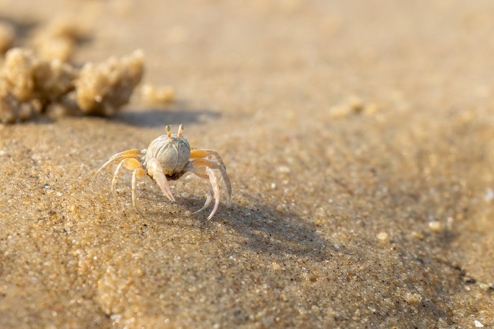 Photograph by Ivan Smorkalov