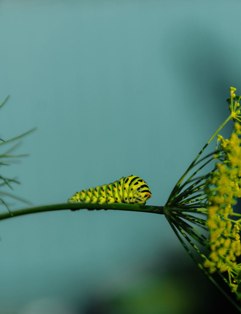 Photograph by Наталья Лобанова