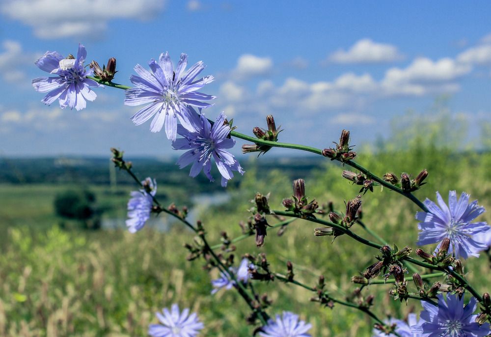 Photograph by Анатолий Костерев