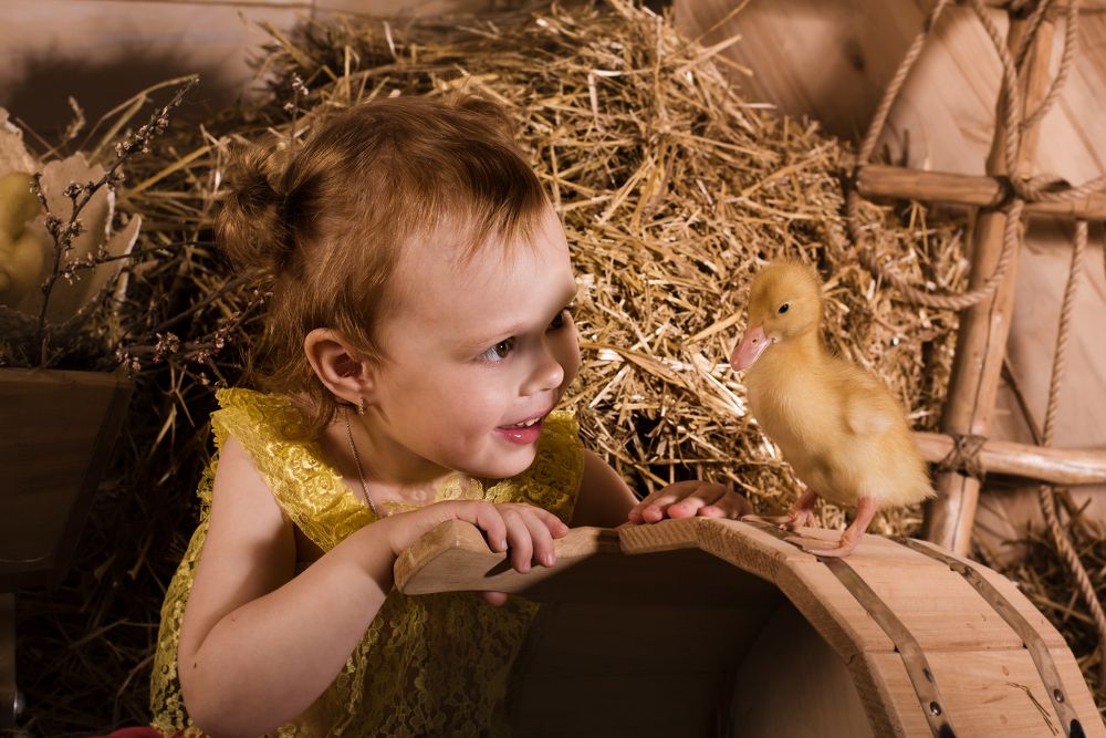 Photograph by Валерия Ловкис