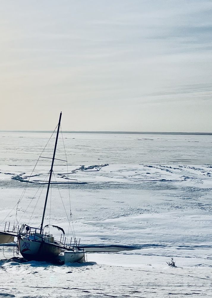 Photograph by Ольга Белоусова