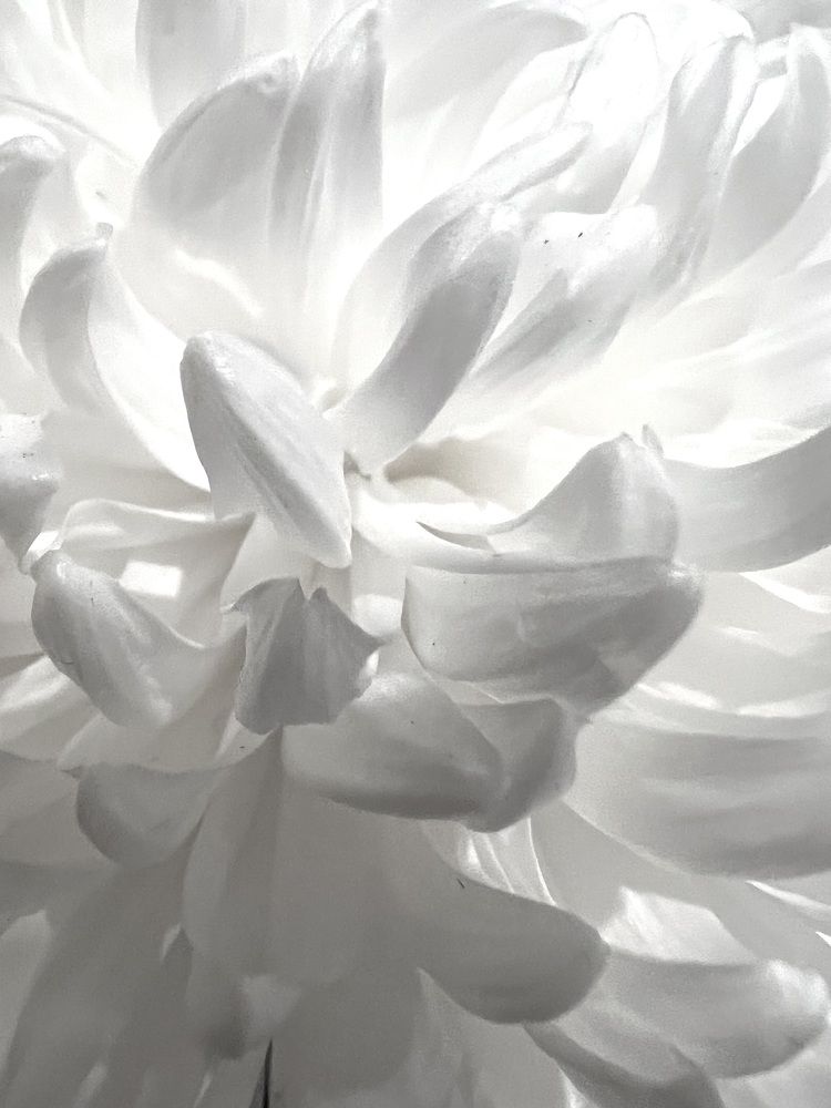 Photograph by Ирина Швейнова