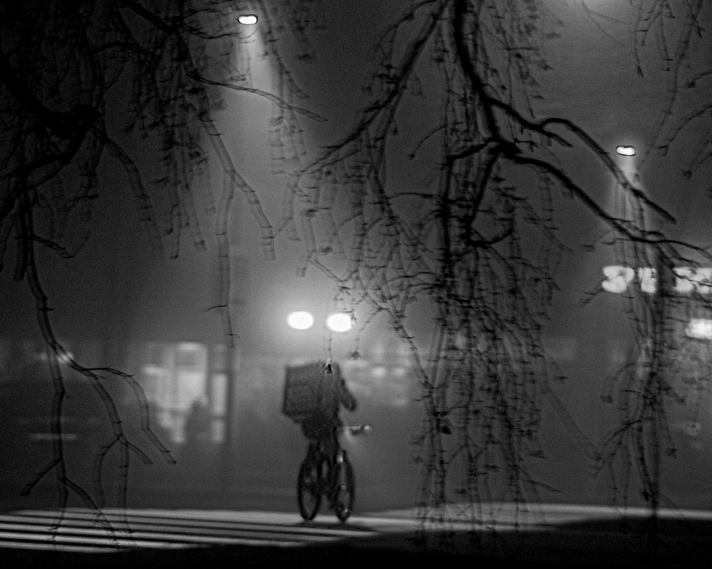 Фотография автора Олег Васильев