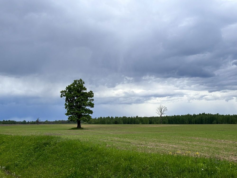 Photograph by Halina Mitsevich