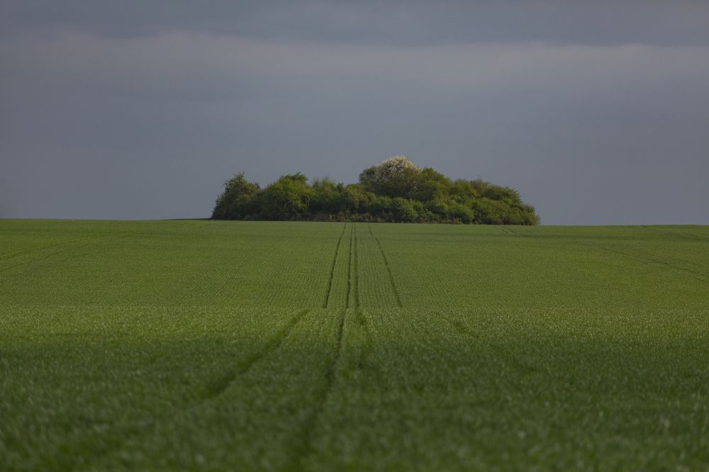 Фотография автора Вазген Бояджян