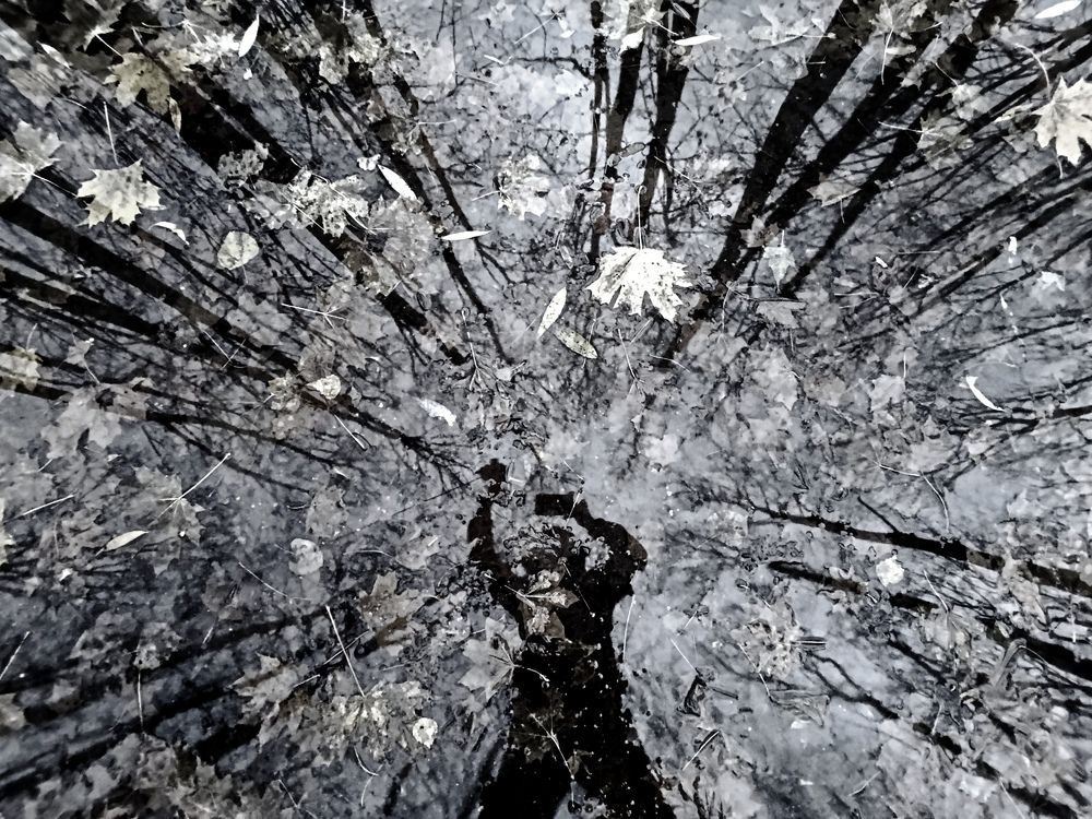 Photograph by Светлана Веселовская