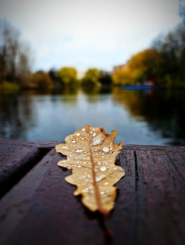 Photograph by Светлана Веселовская