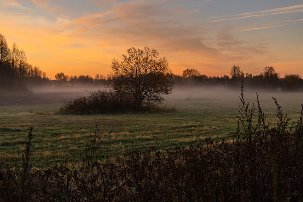 Фотография автора Ольга Егунова