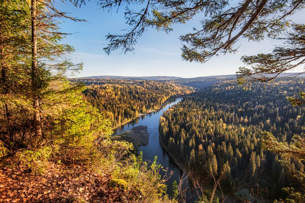 Photograph by Соколова Елена