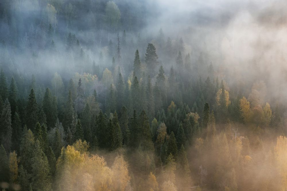 Photograph by Соколова Елена