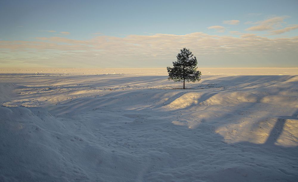 Фотография автора Ольга Егунова
