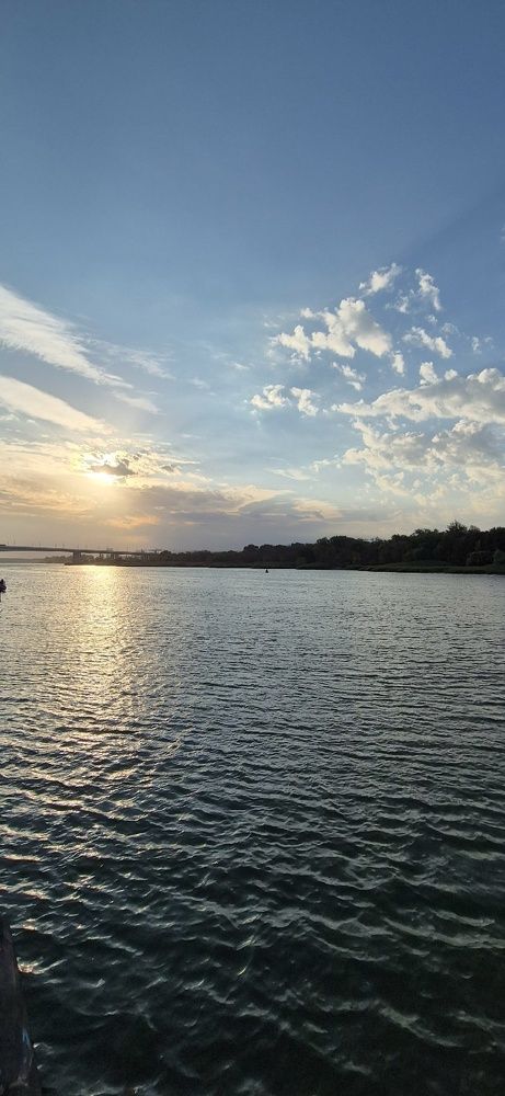 Фотография автора Ольга Мусина