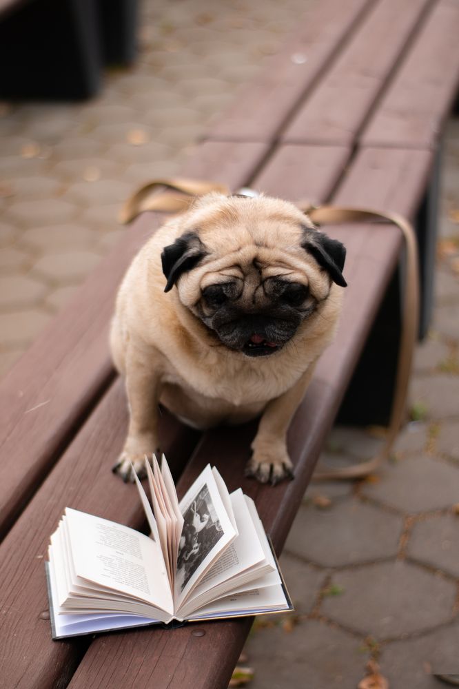 Photograph by Инна