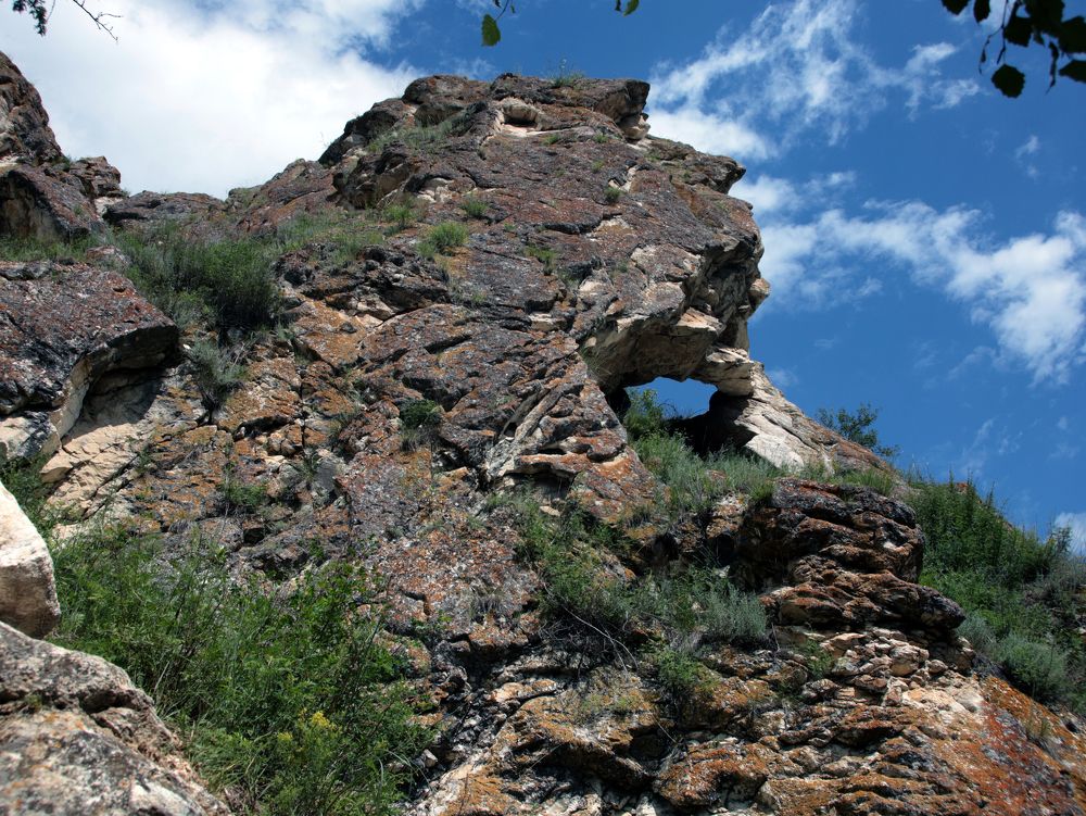 Photograph by Анурова Аля