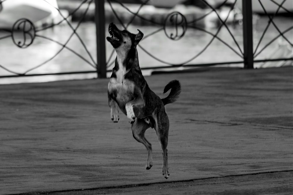 Photograph by Siarhei Saladukhin