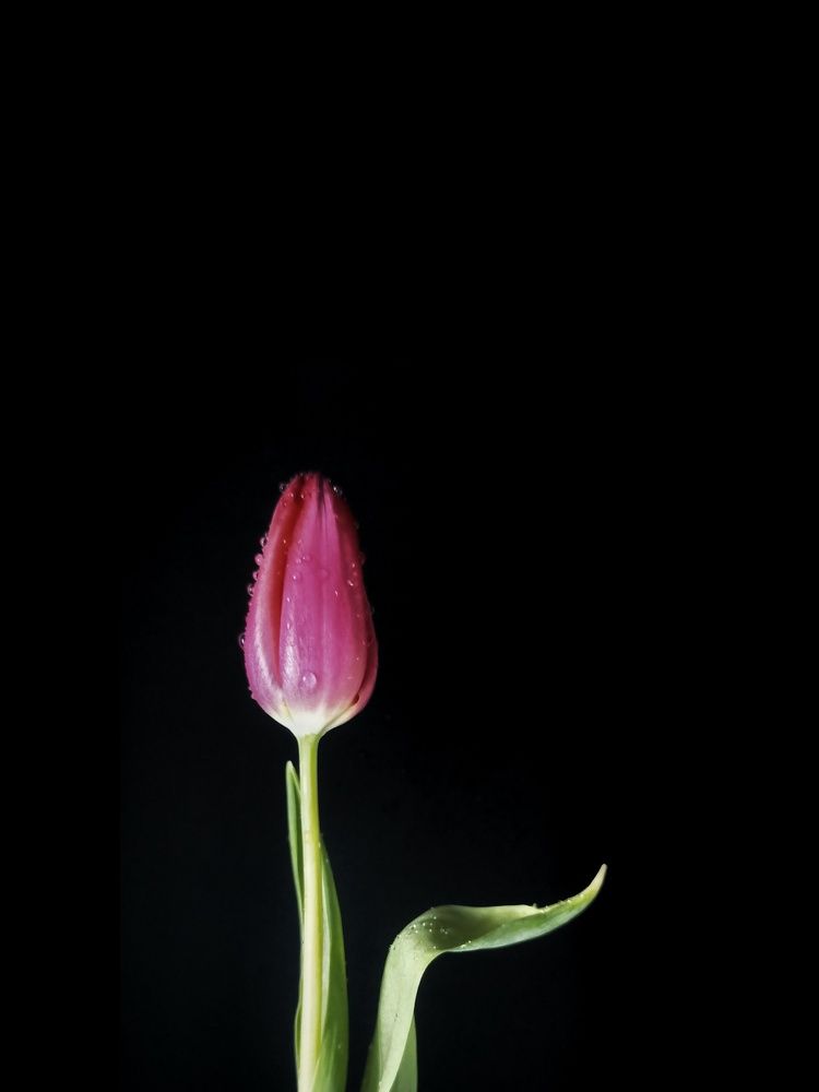 Фотография автора Татьяна Шахова