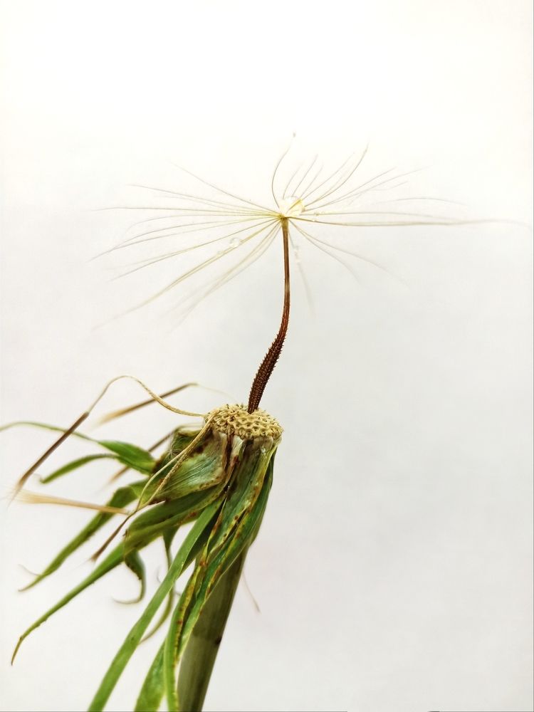 Фотография автора Татьяна Шахова