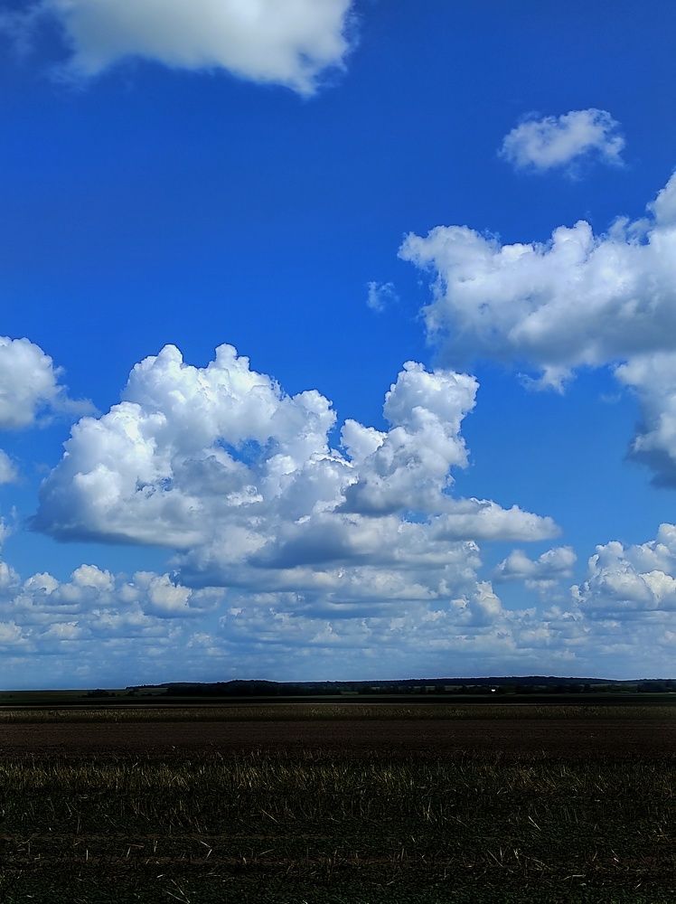 Photograph by Юлия Зинякова