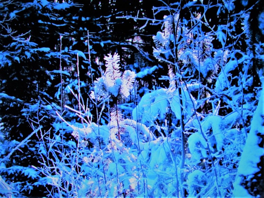 Photograph by Галина