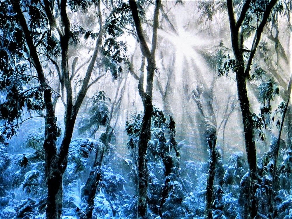 Photograph by Галина