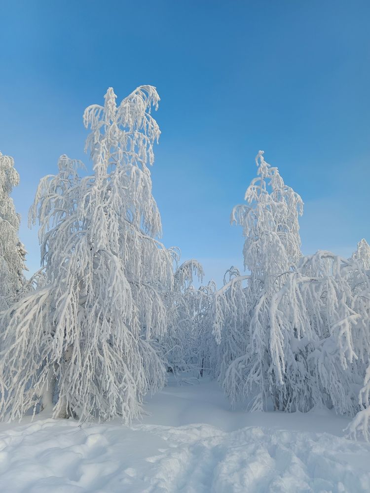 Photograph by Сергей Шевырин