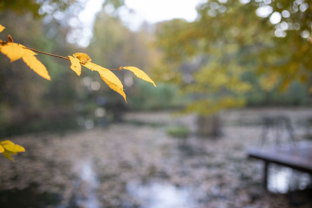 Photograph by Lera Sayapina