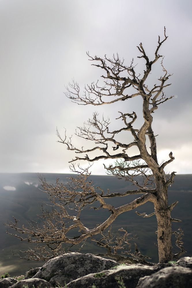 Photograph by Забудская Наталья