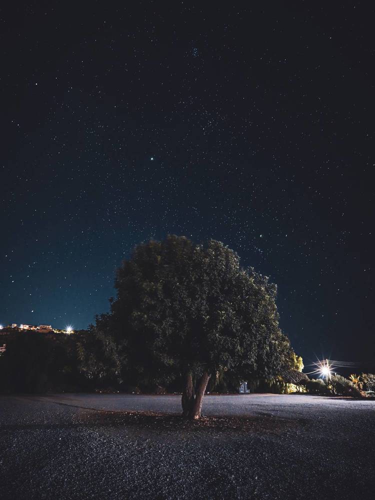 Photograph by Игорь Толкачев