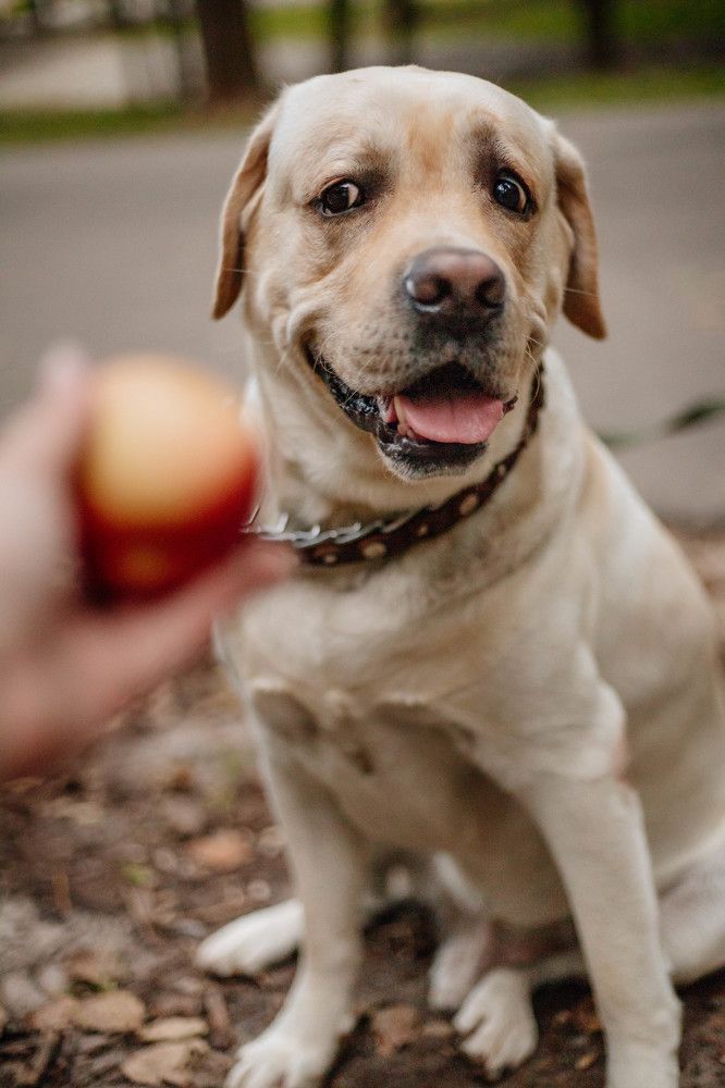 Photograph by Ксения Чикина