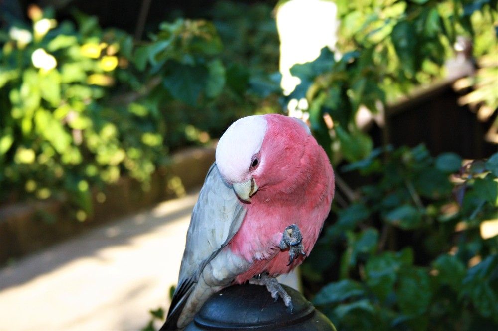 Photograph by Галина