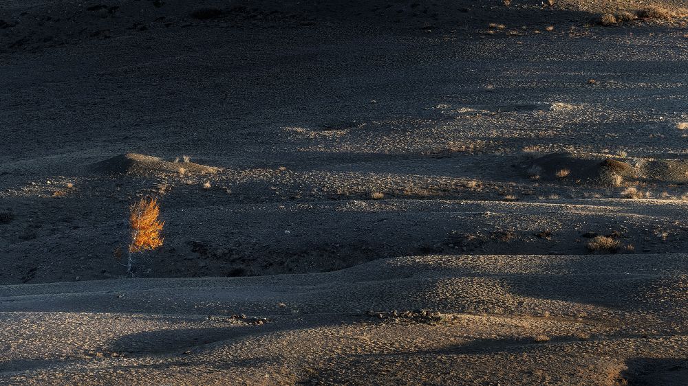 Photograph by Загруев Михаил