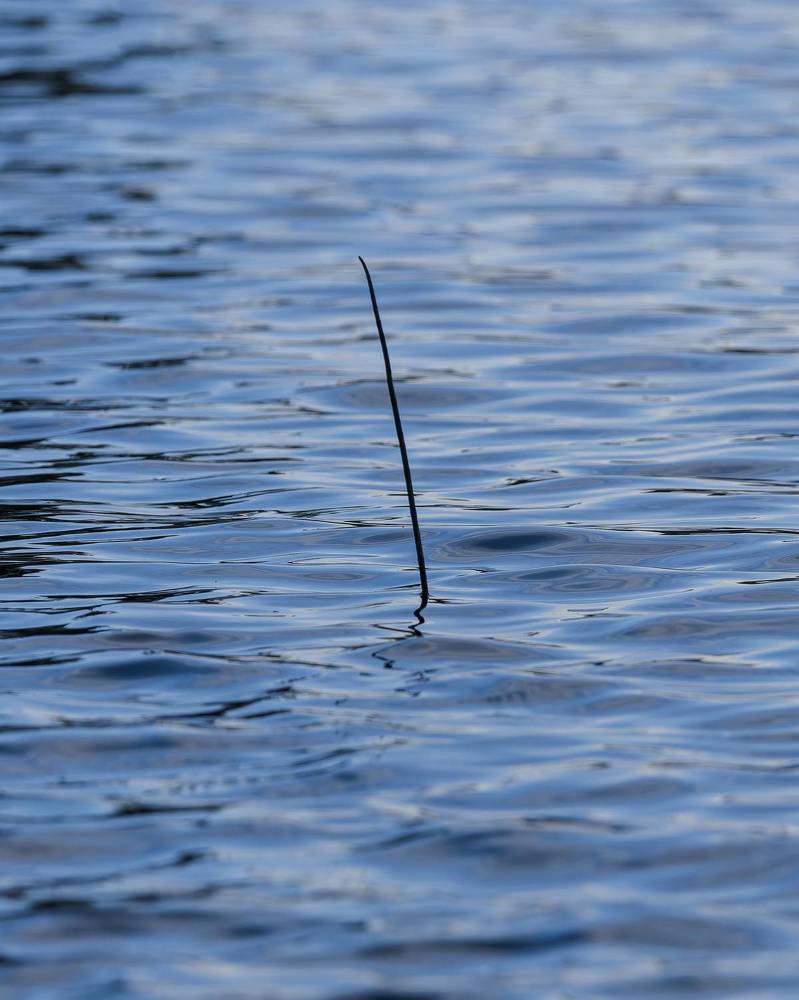 Photograph by Загруев Михаил