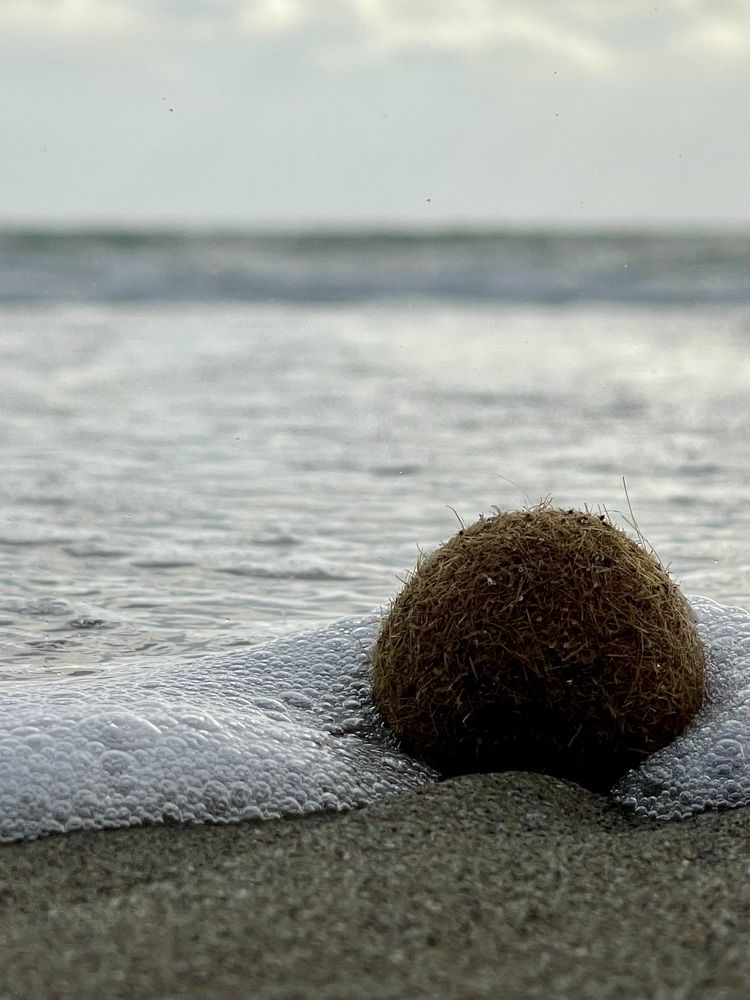 Фотография автора Ольга Полякова