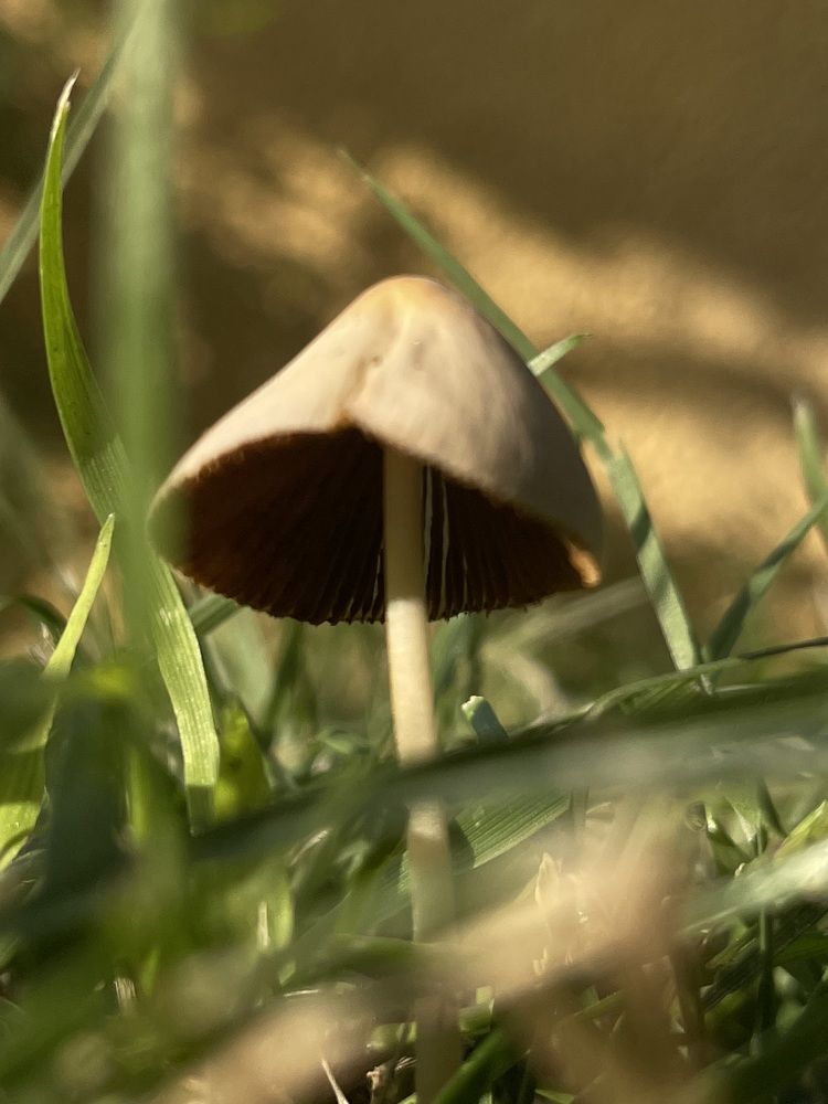 Фотография автора Ольга Полякова