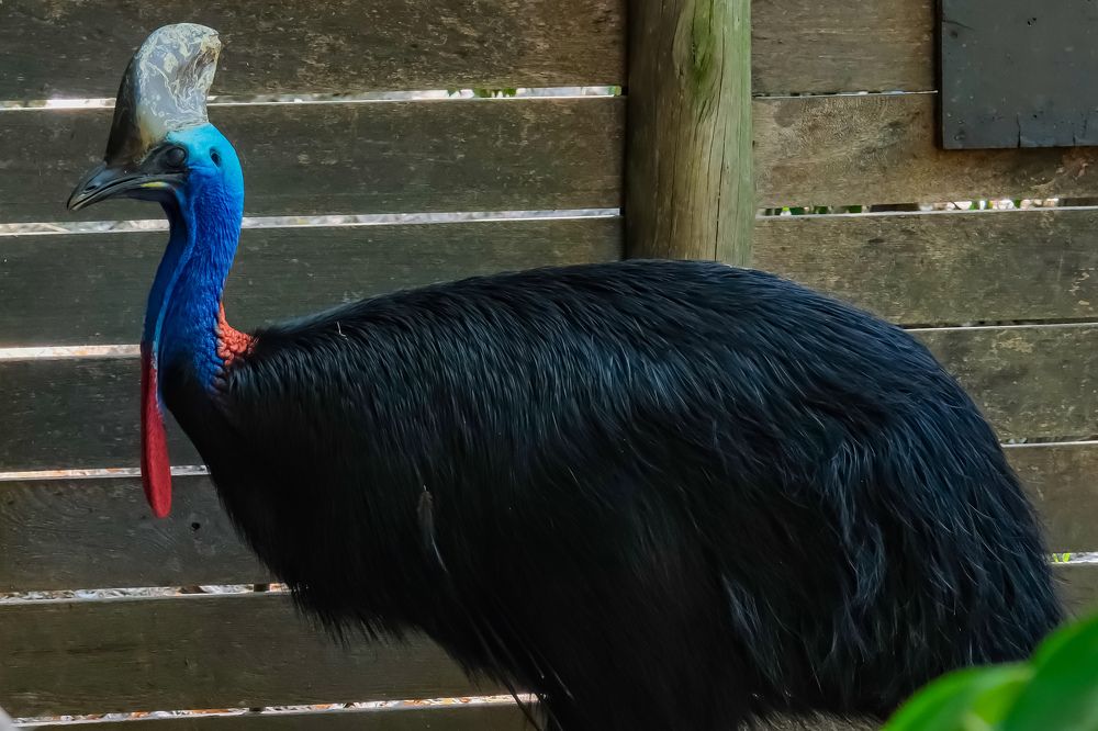 Photograph by Сергей Аверченко