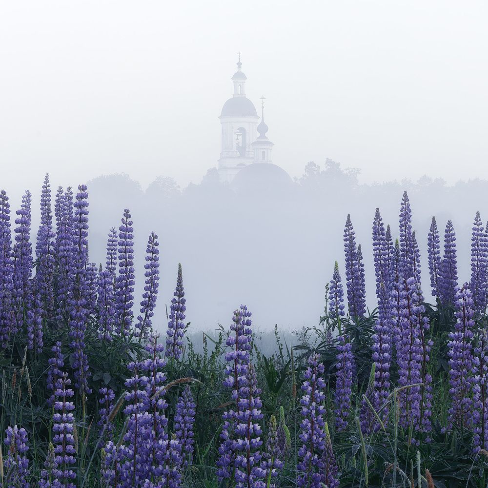 Photograph by Загруев Михаил