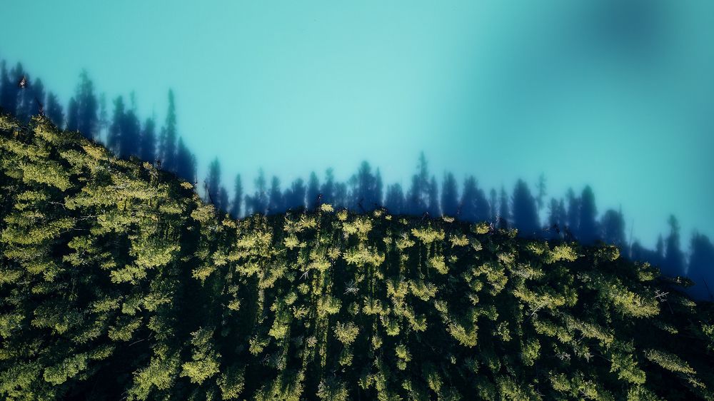 Photograph by Загруев Михаил