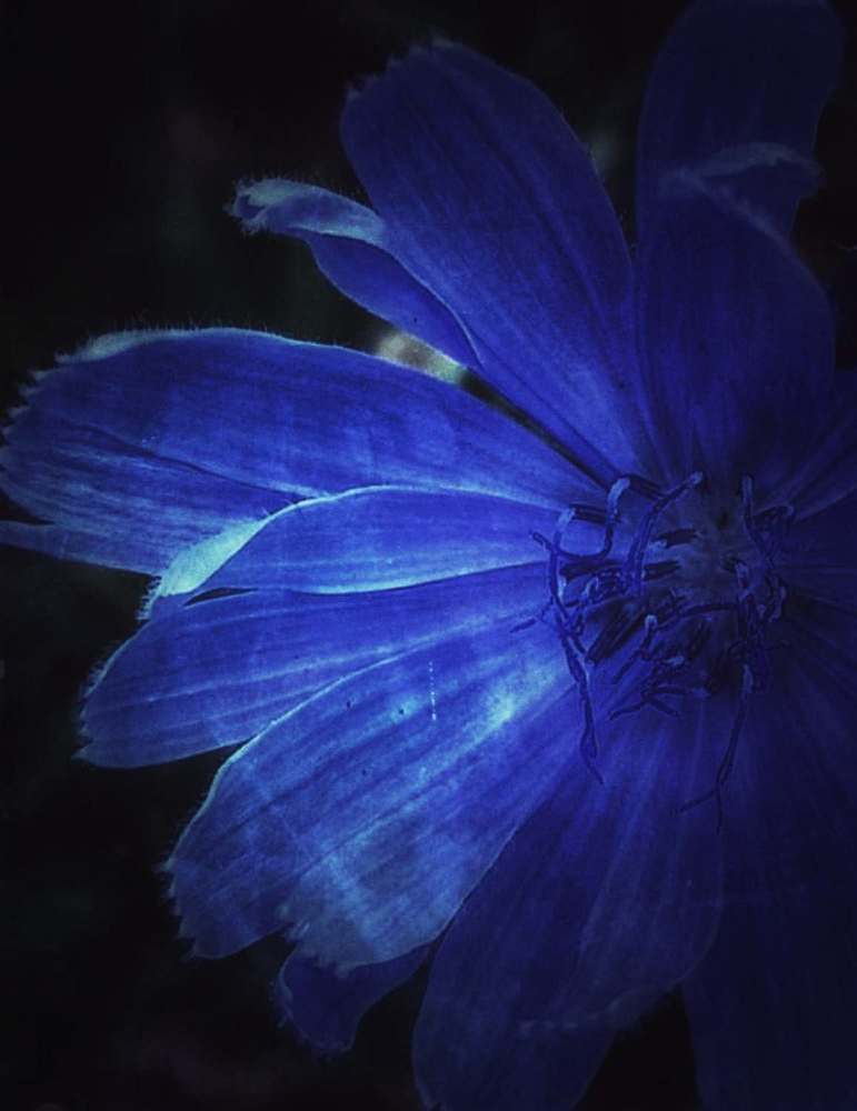 Photograph by Зыкова Мария