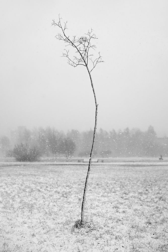 Photograph by Смирнов Алексей