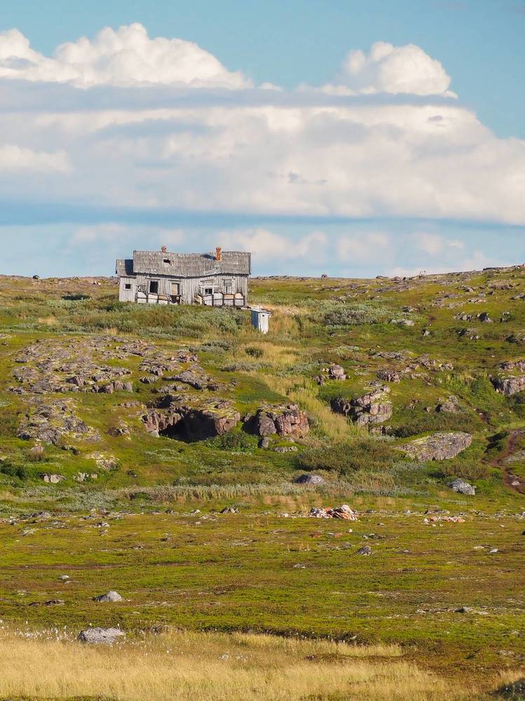 Photograph by Шейко Анна