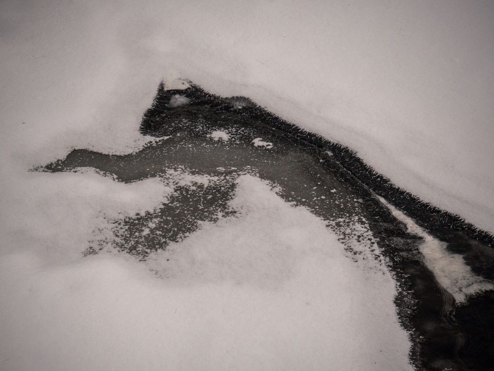 Photograph by Шейко Анна