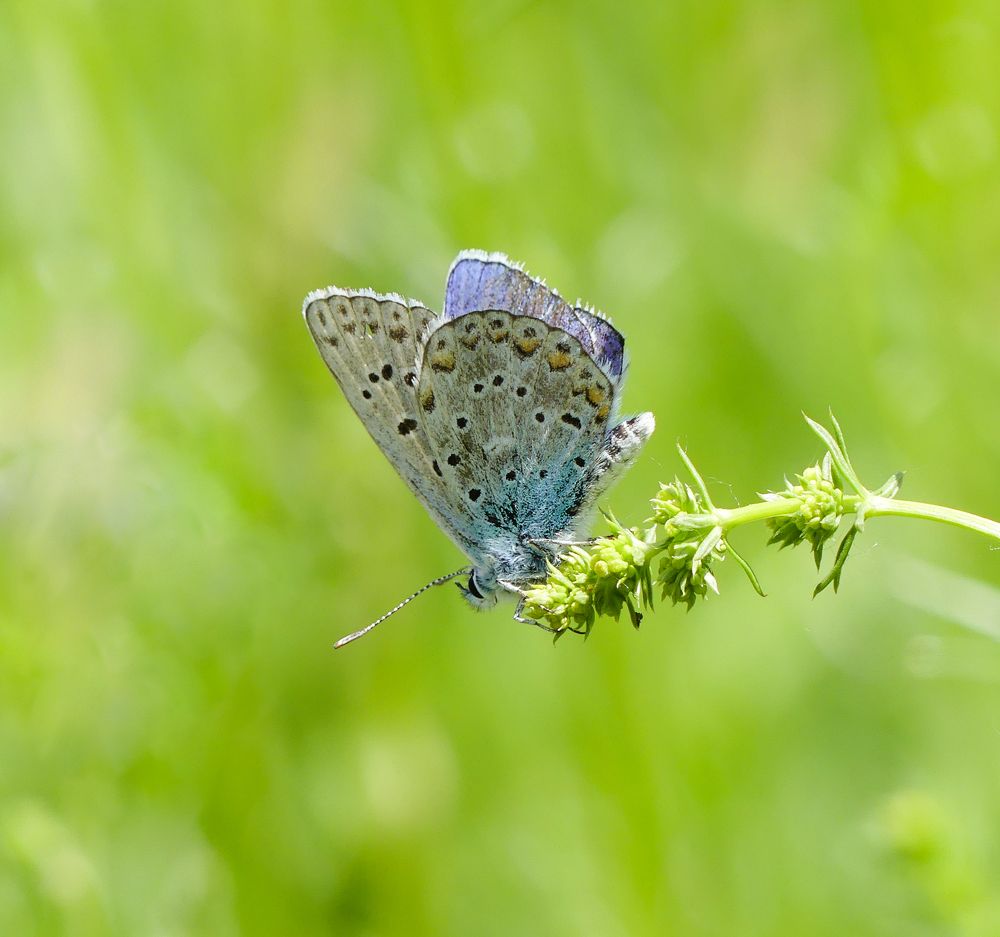 Photograph by ali bakhshi