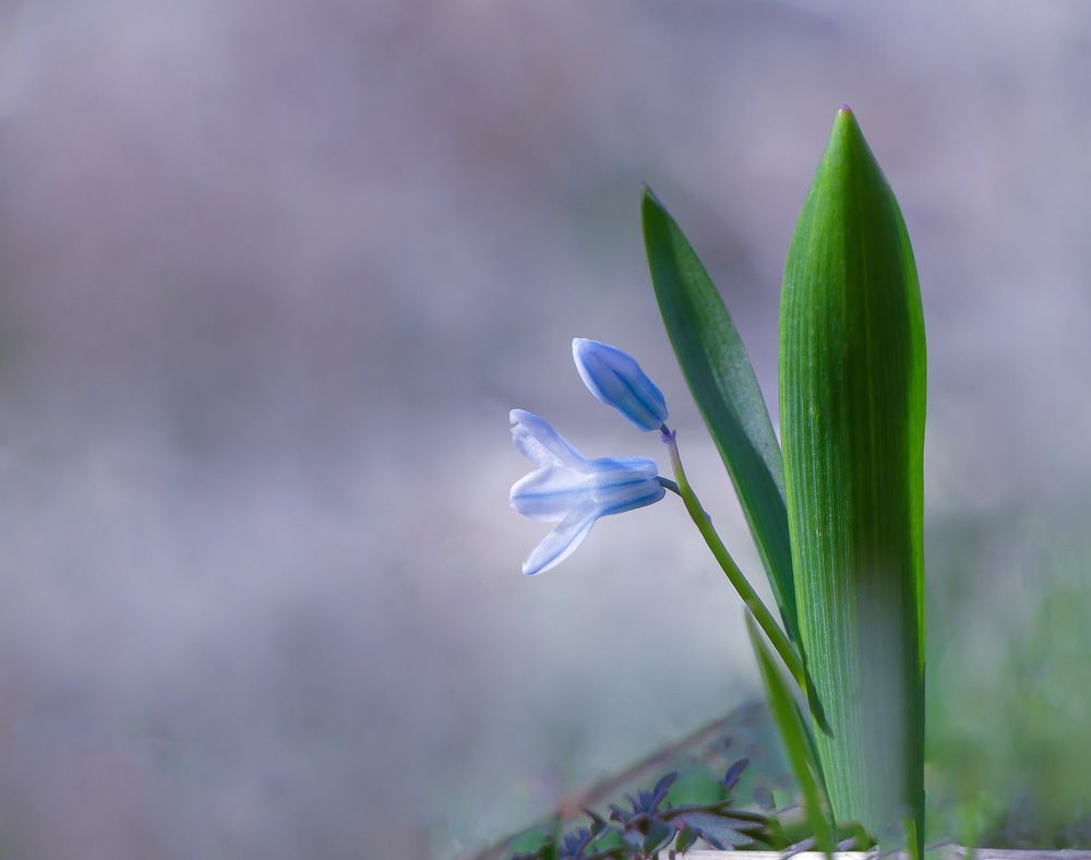 Photograph by ali bakhshi