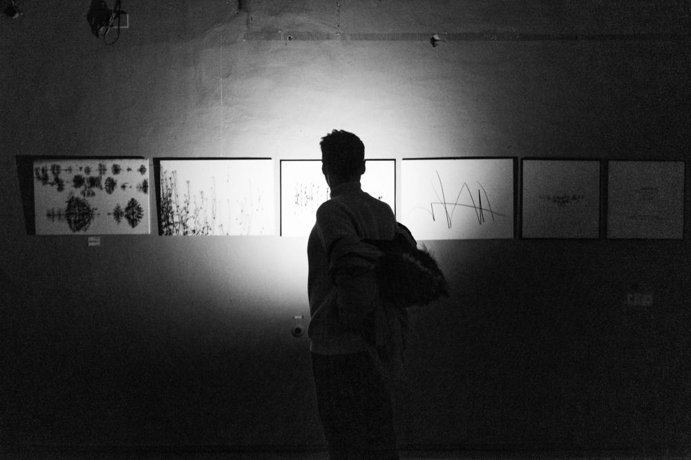 Photograph by Катерина Зелёная