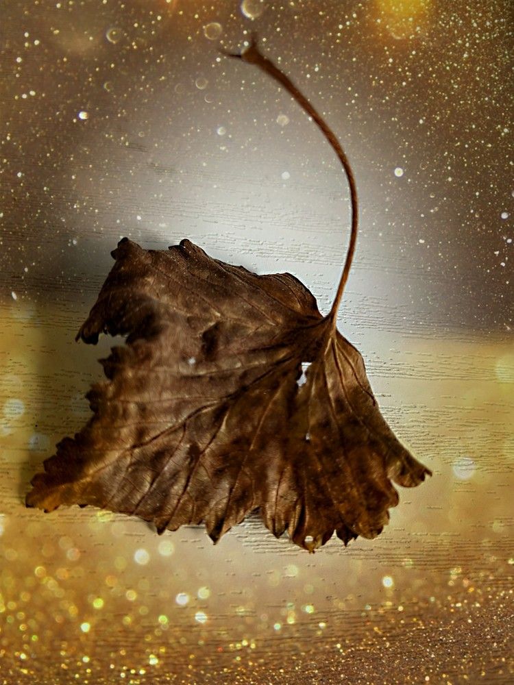 Photograph by Анна Андреевна